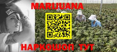 PSILOCYBIN Кандалакша